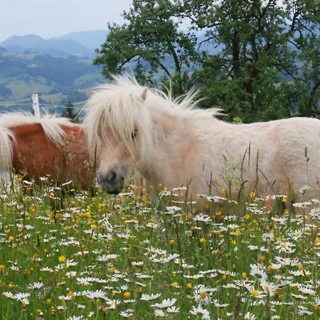 Ferienwohnung Bio Bauernhof - Mini Shetland Ponyhof Almbauer Waidhofen an der Ybbs Exterior foto