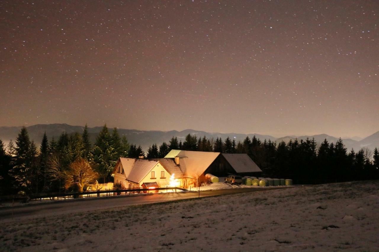 Ferienwohnung Bio Bauernhof - Mini Shetland Ponyhof Almbauer Waidhofen an der Ybbs Exterior foto